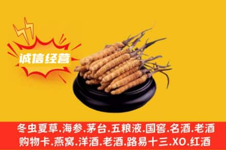 杭州江干区回收冬虫夏草